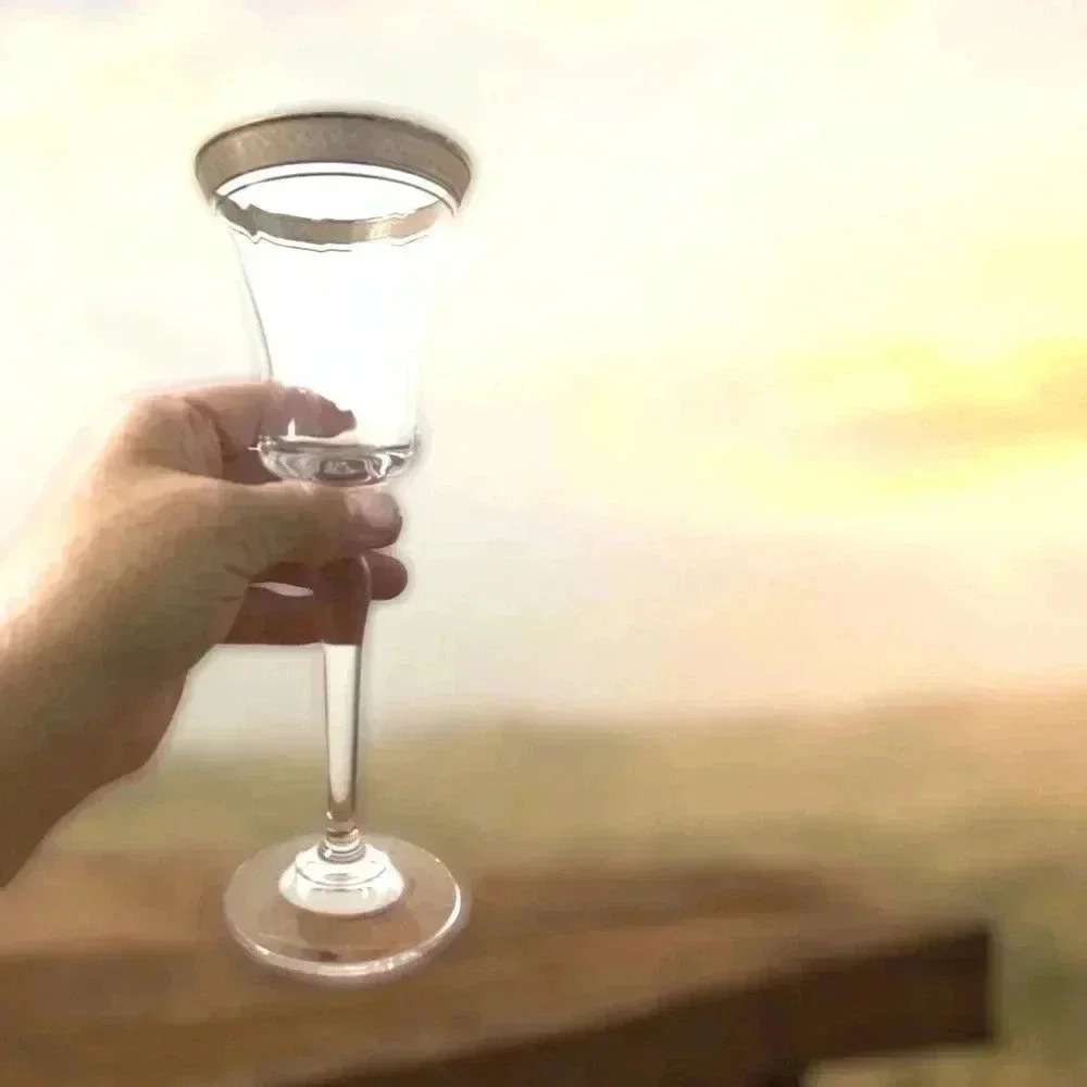 Unbranded Crystal, Vintage, Gold  Rimmed Wine Glasses, Set of 2